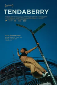  Тендаберри 